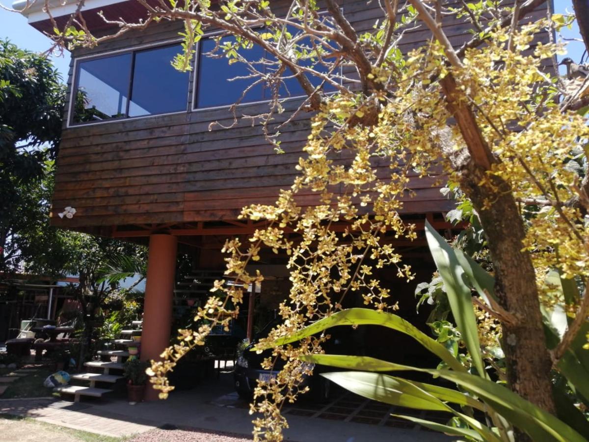Casa Cora Apartment Heredia Bagian luar foto