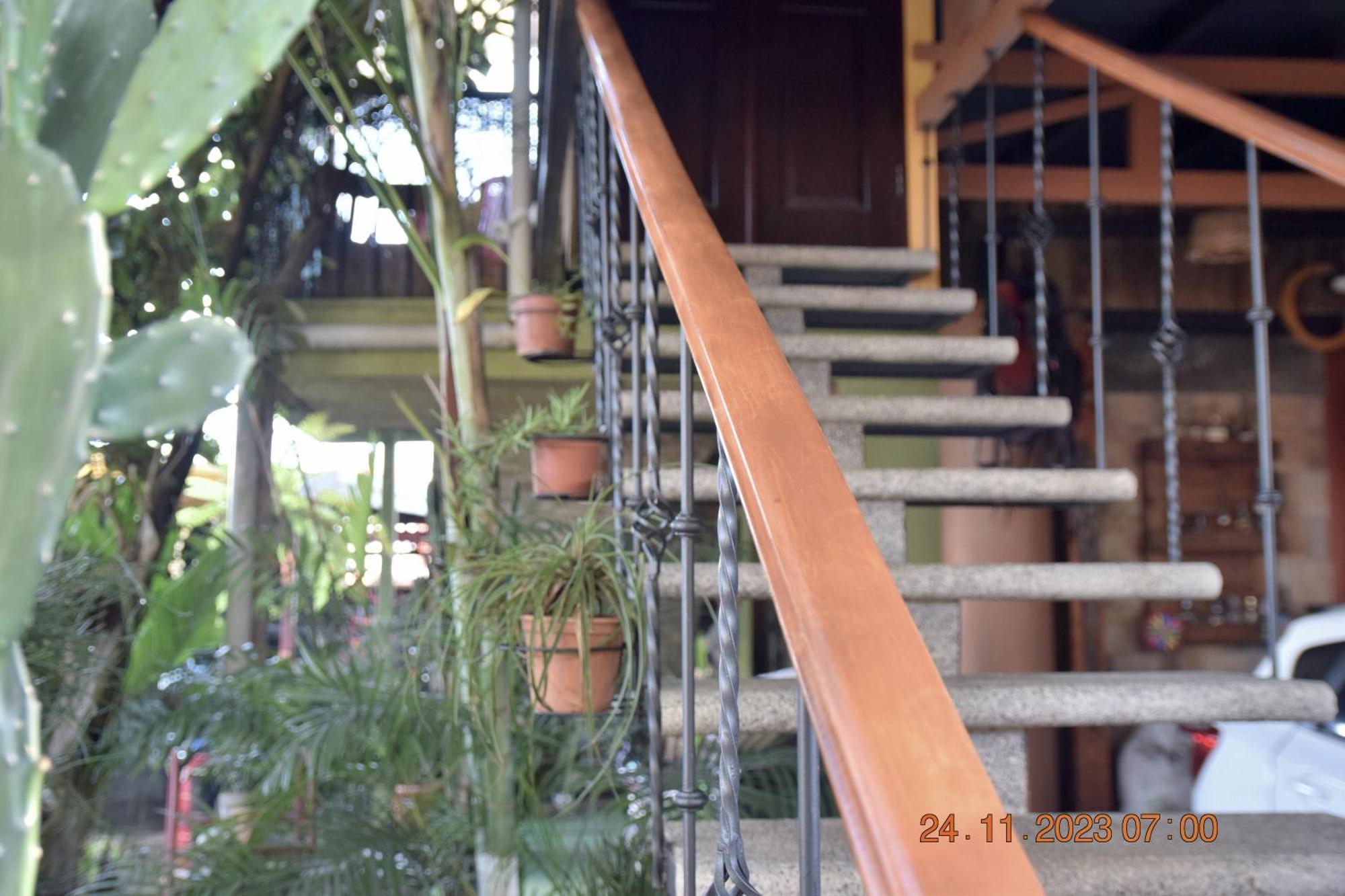 Casa Cora Apartment Heredia Bagian luar foto